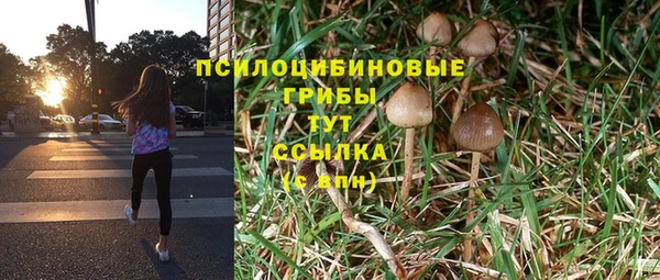 СК Заводоуковск