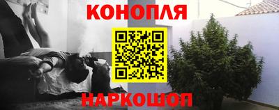 соль ск Лесосибирск